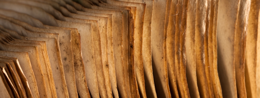 Paper Degrades and Is Easily Lost